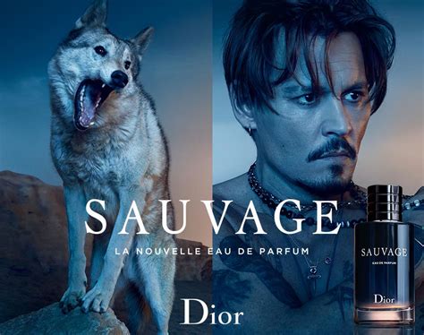 Dior Sauvage vs fougere